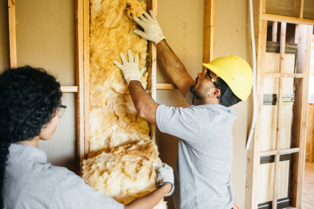 Best Professional Insulation Contractor  in Saw Creek, PA